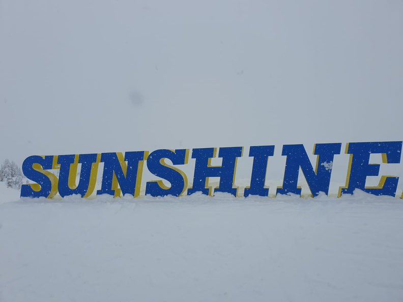 sunshine01