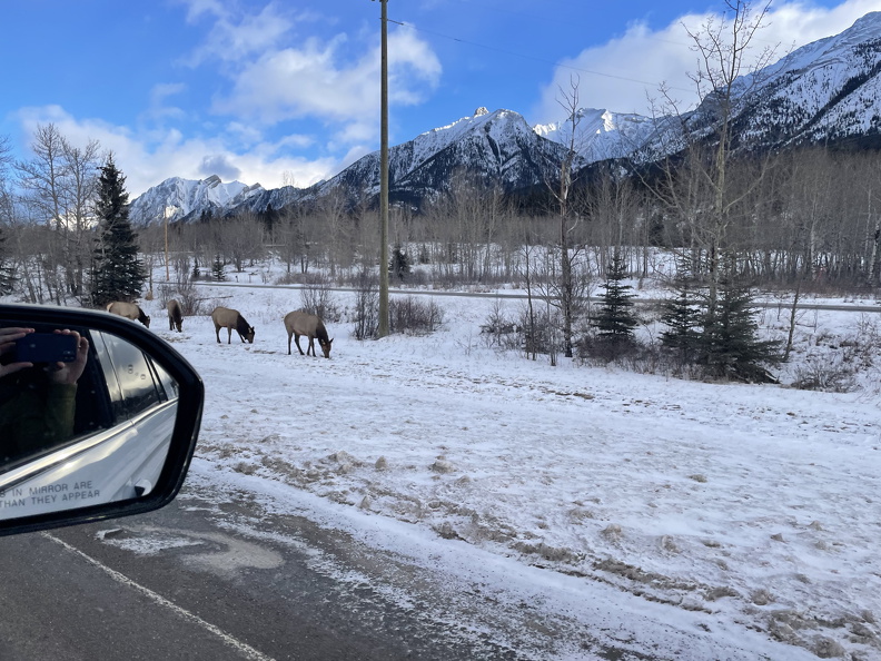 B6BBD23D-91DE-4719-AFFB-2C52CC3B736F